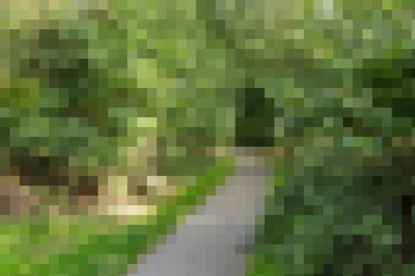 Zestienhovensekade 199 Rotterdam thumbnail 39