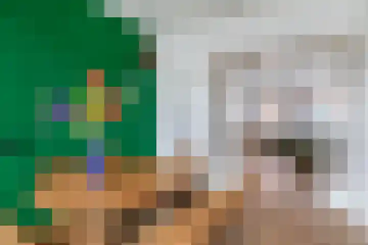 Zestienhovensekade 235 Rotterdam thumbnail 17