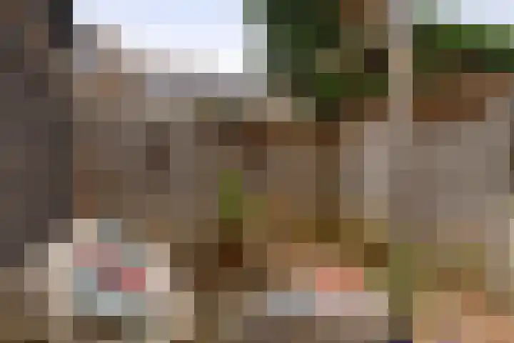 Zestienhovensekade 235 Rotterdam thumbnail 20