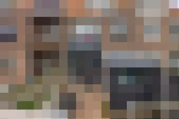Zestienhovensekade 235 Rotterdam thumbnail 23