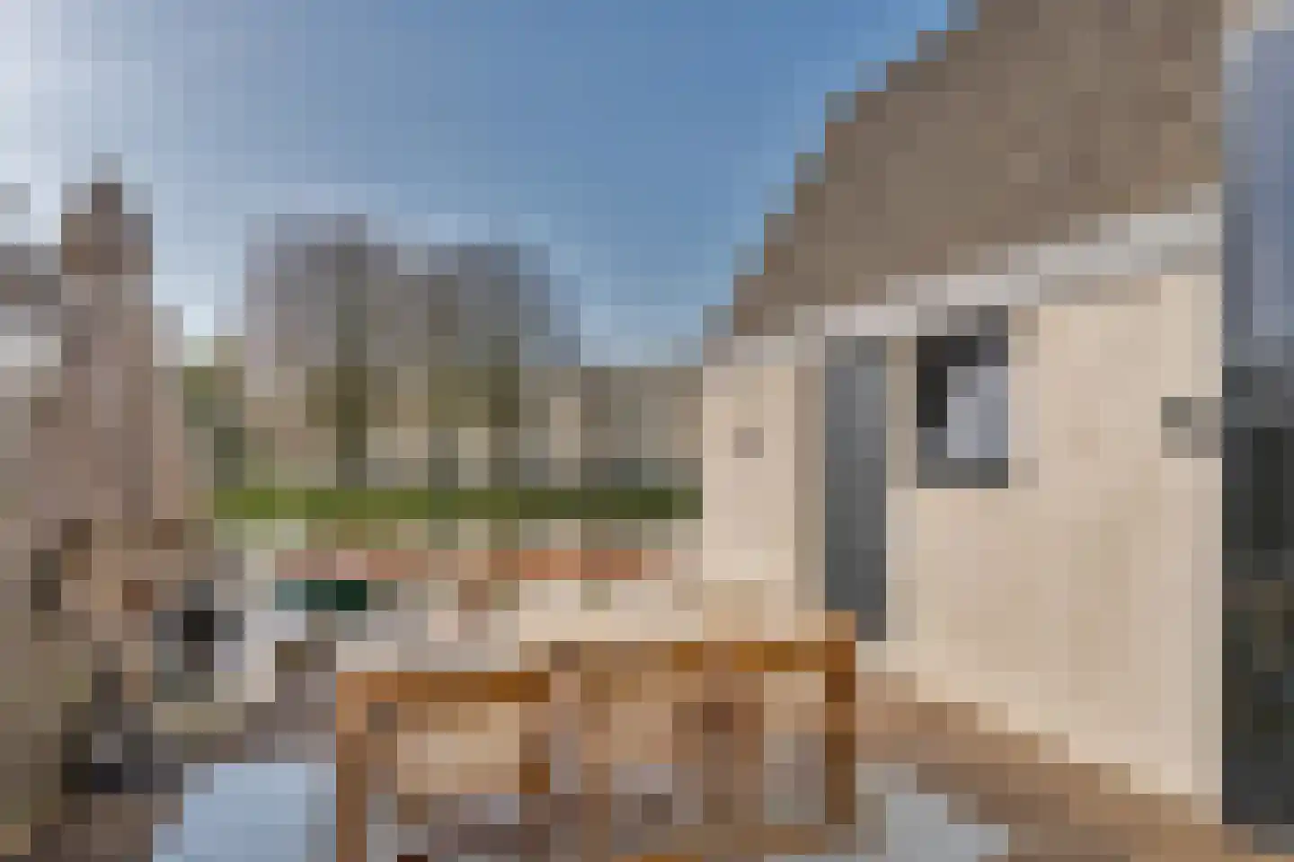 Zestienhovensekade 252 Rotterdam thumbnail 29