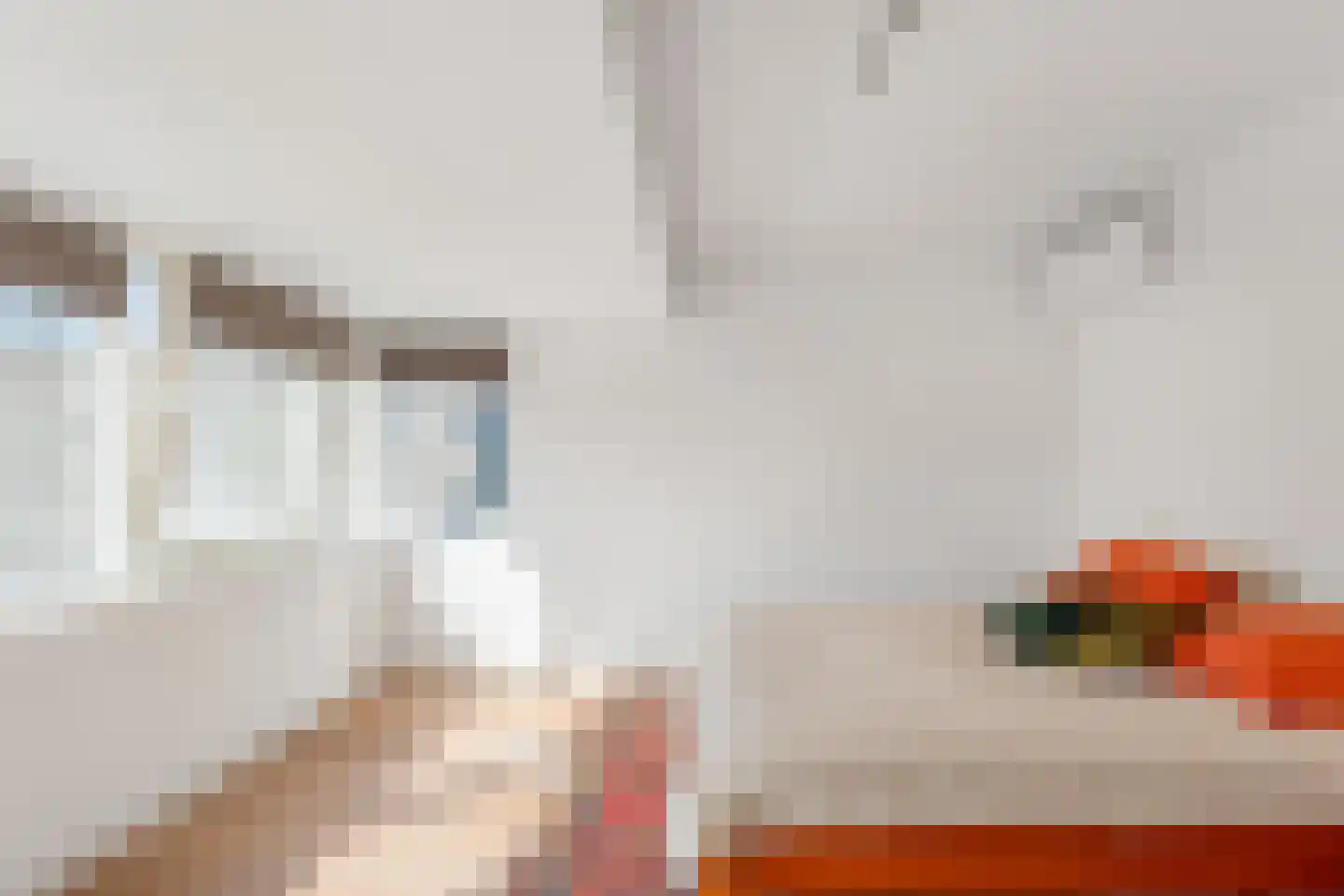 Zestienhovensekade 252 Rotterdam thumbnail 4
