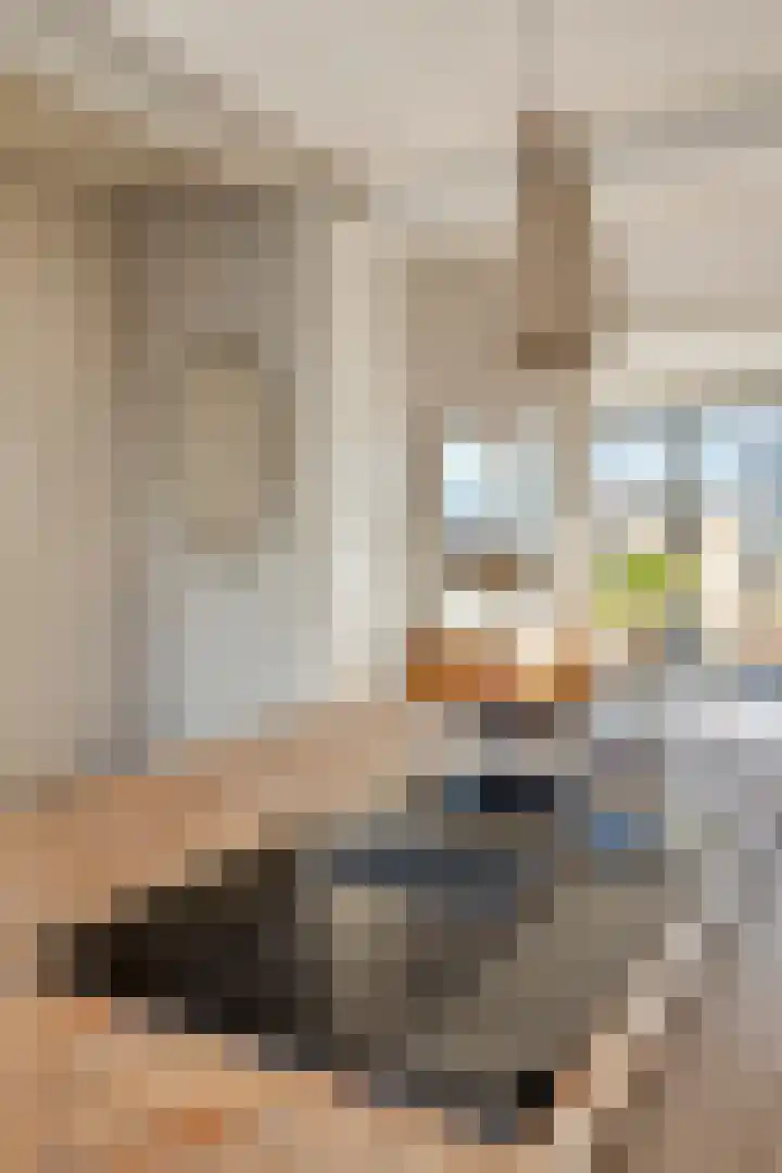 Zestienhovensekade 272 Rotterdam thumbnail 12