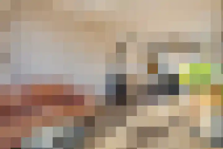 Zestienhovensekade 272 Rotterdam thumbnail 7