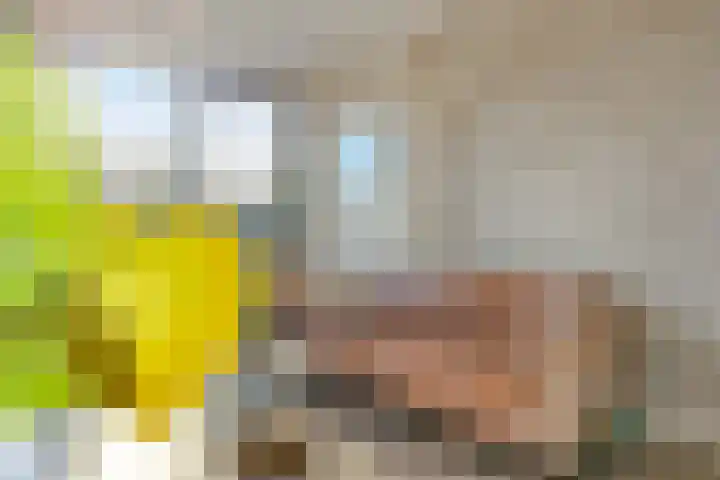 Zestienhovensekade 272 Rotterdam thumbnail 9