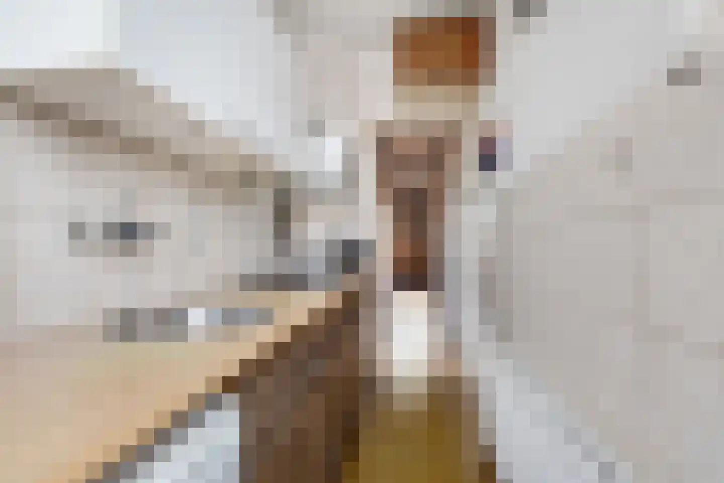 Zestienhovensekade 298 Rotterdam thumbnail 16
