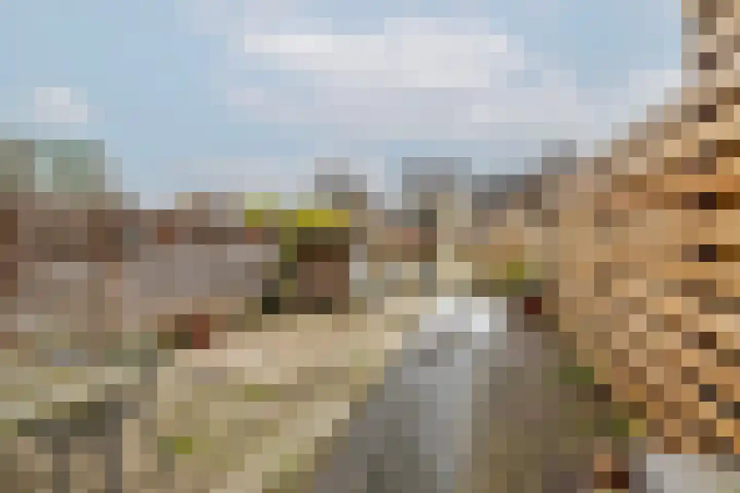 Zestienhovensekade 298 Rotterdam thumbnail 32
