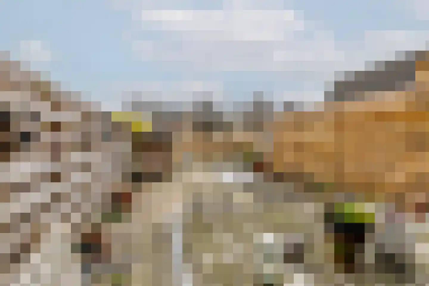 Zestienhovensekade 298 Rotterdam thumbnail 34