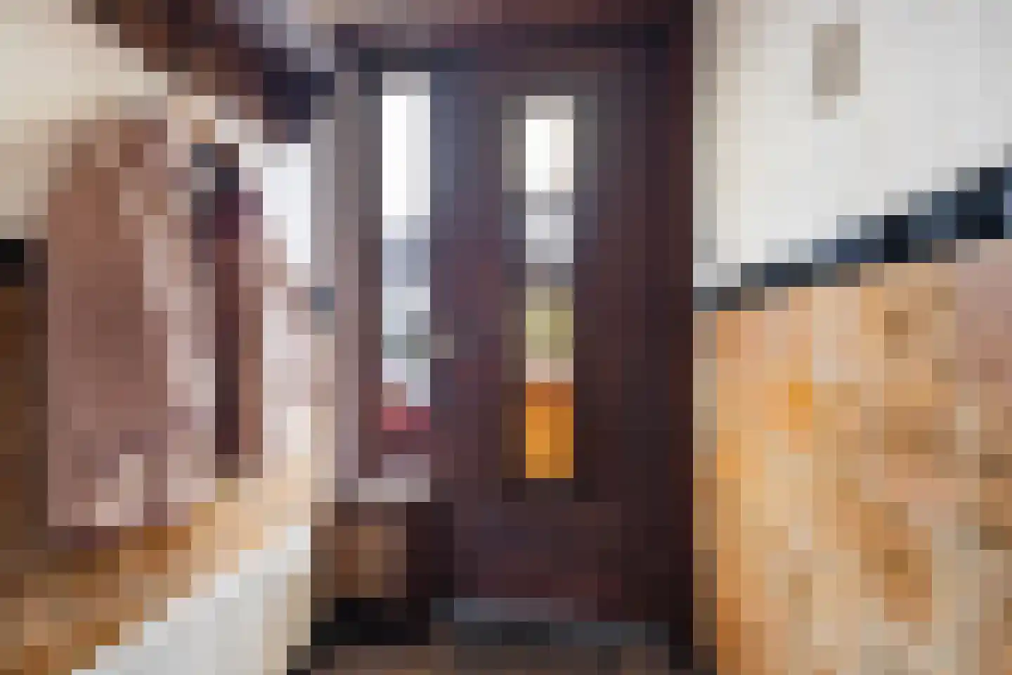 Zestienhovensekade 298 Rotterdam thumbnail 6