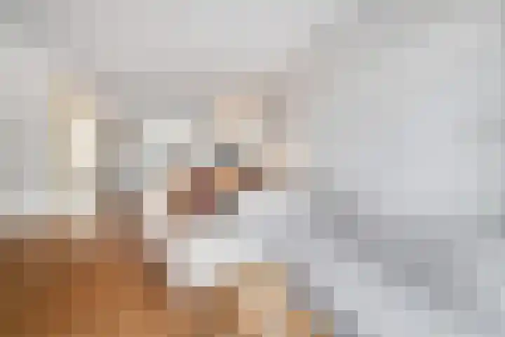 Zestienhovensekade 322 Rotterdam thumbnail 11
