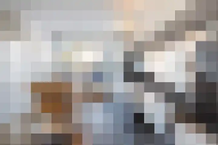 Zestienhovensekade 322 Rotterdam thumbnail 12