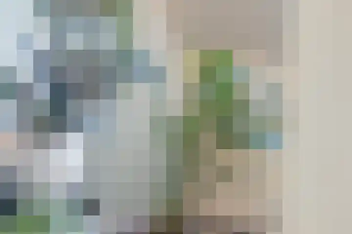 Zestienhovensekade 322 Rotterdam thumbnail 31