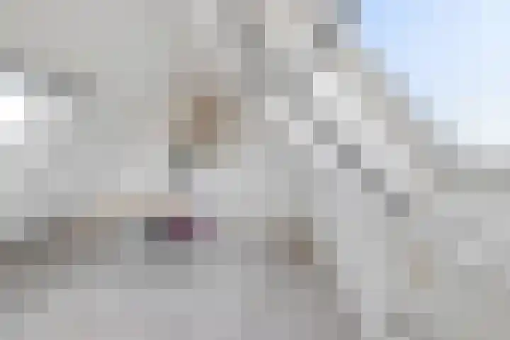 Zestienhovensekade 322 Rotterdam thumbnail 36