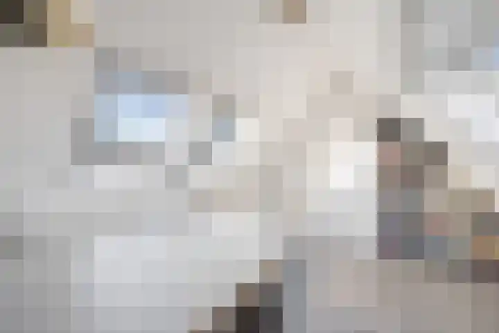Zestienhovensekade 322 Rotterdam thumbnail 37