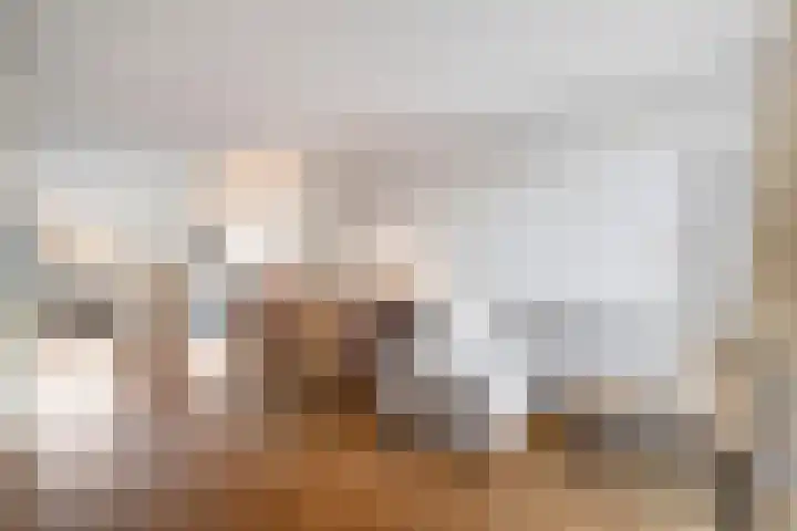 Zestienhovensekade 322 Rotterdam thumbnail 6