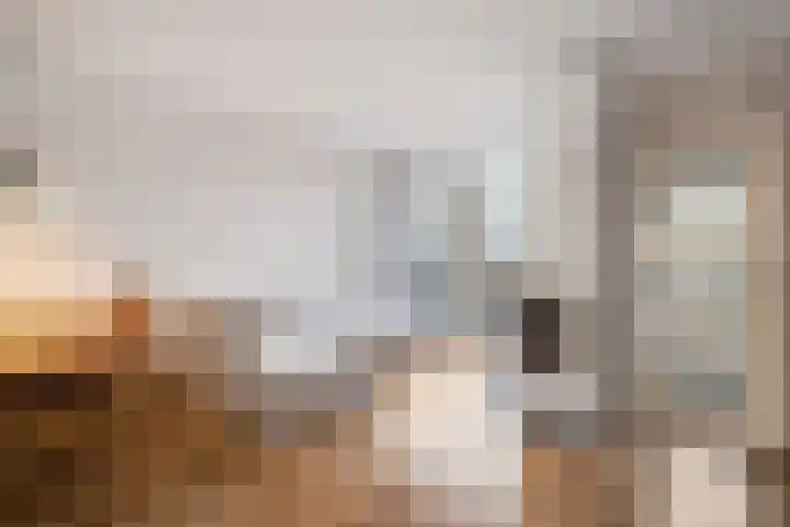 Zestienhovensekade 322 Rotterdam thumbnail 8