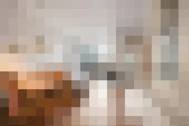 Zestienhovensekade 322 Rotterdam thumbnail 9