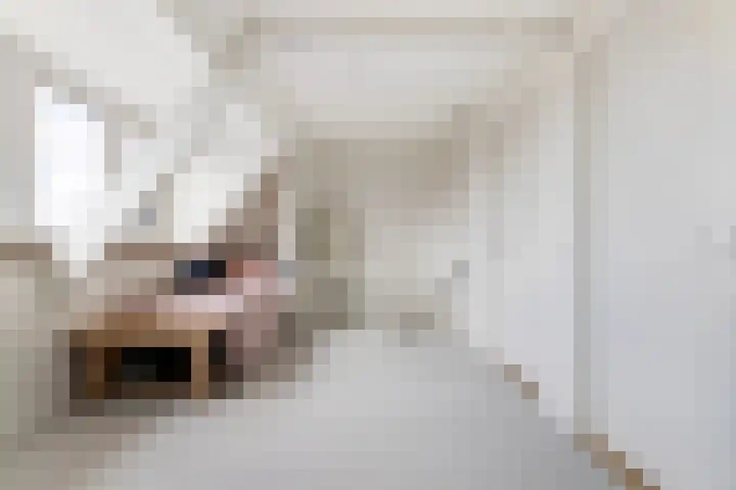 Zestienhovensekade 351 Rotterdam thumbnail 35
