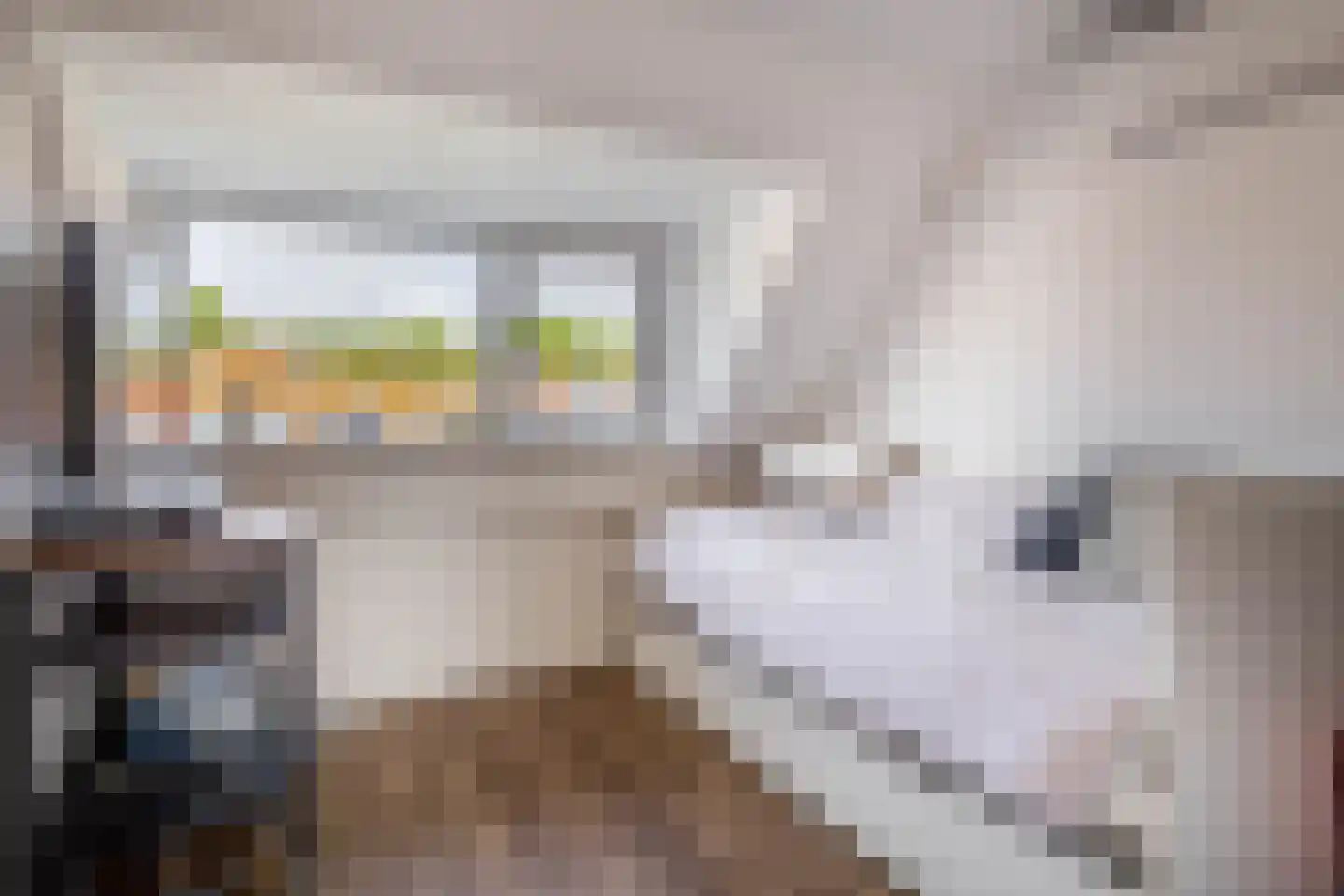 Zestienhovensekade 379 Rotterdam thumbnail 22