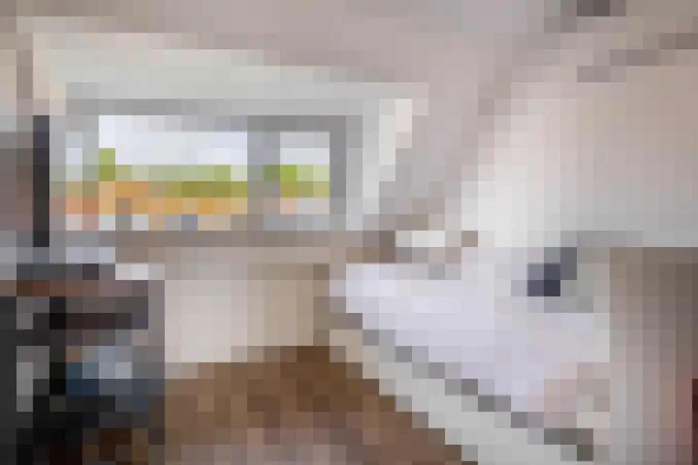 Zestienhovensekade 379 Rotterdam thumbnail 24