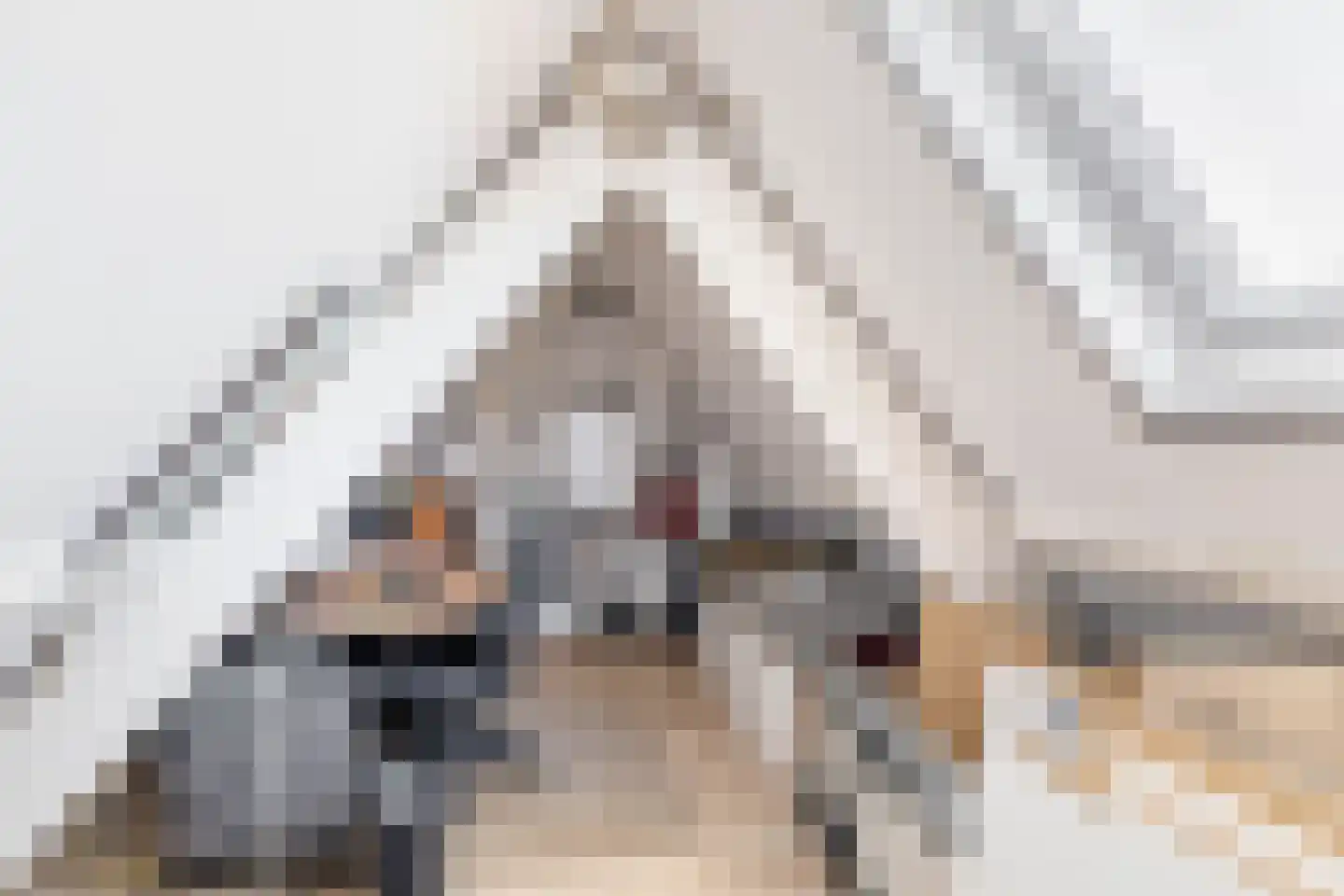 Zestienhovensekade 379 Rotterdam thumbnail 26