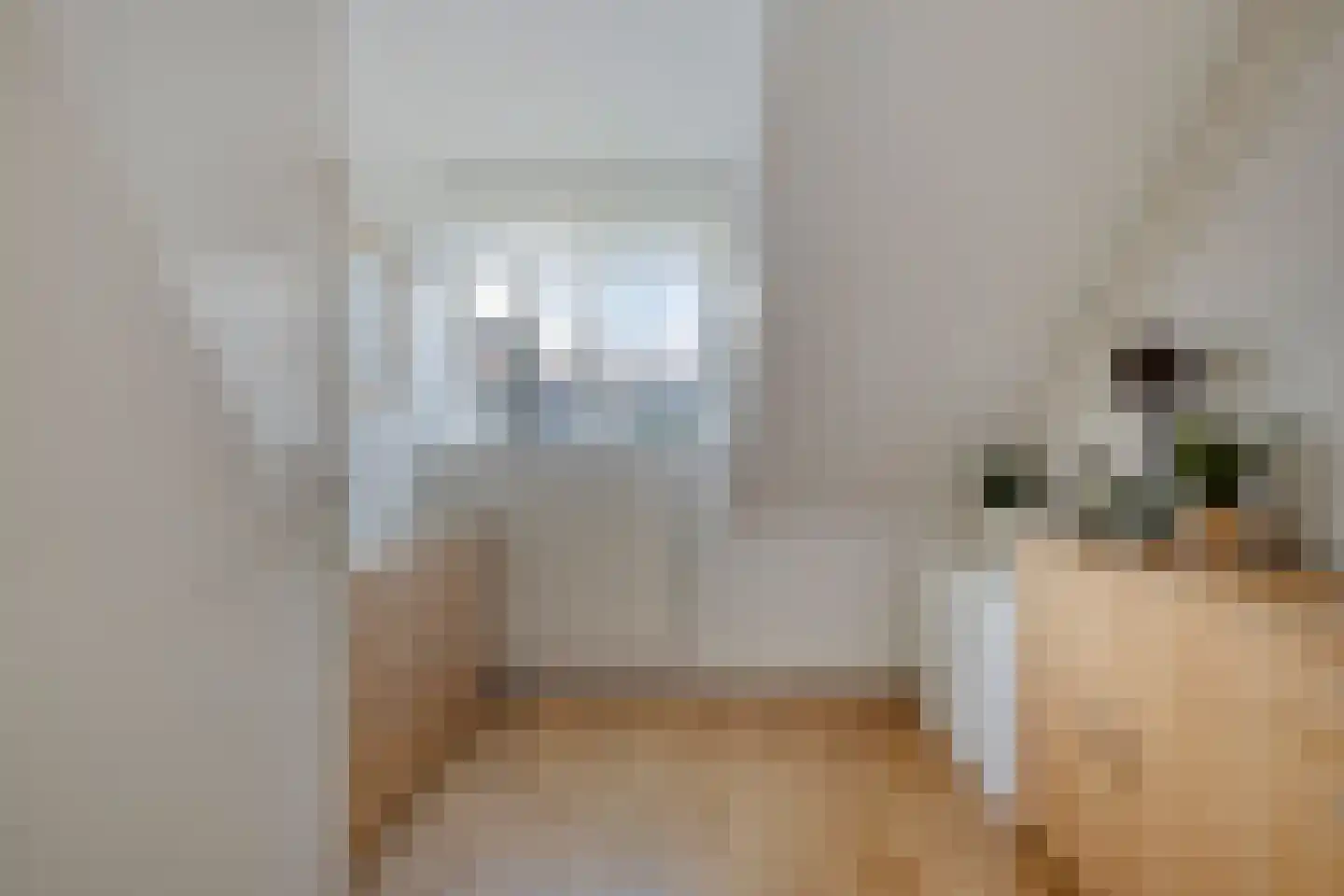 Zestienhovensekade 4 Rotterdam thumbnail 19