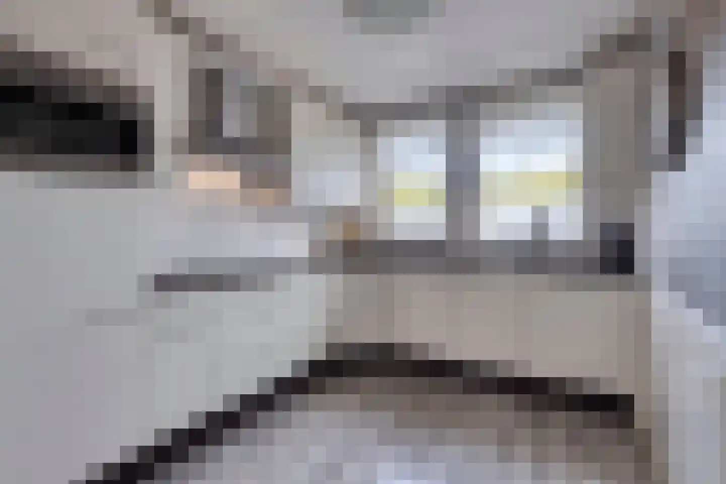 Zestienhovensekade 4 Rotterdam thumbnail 9