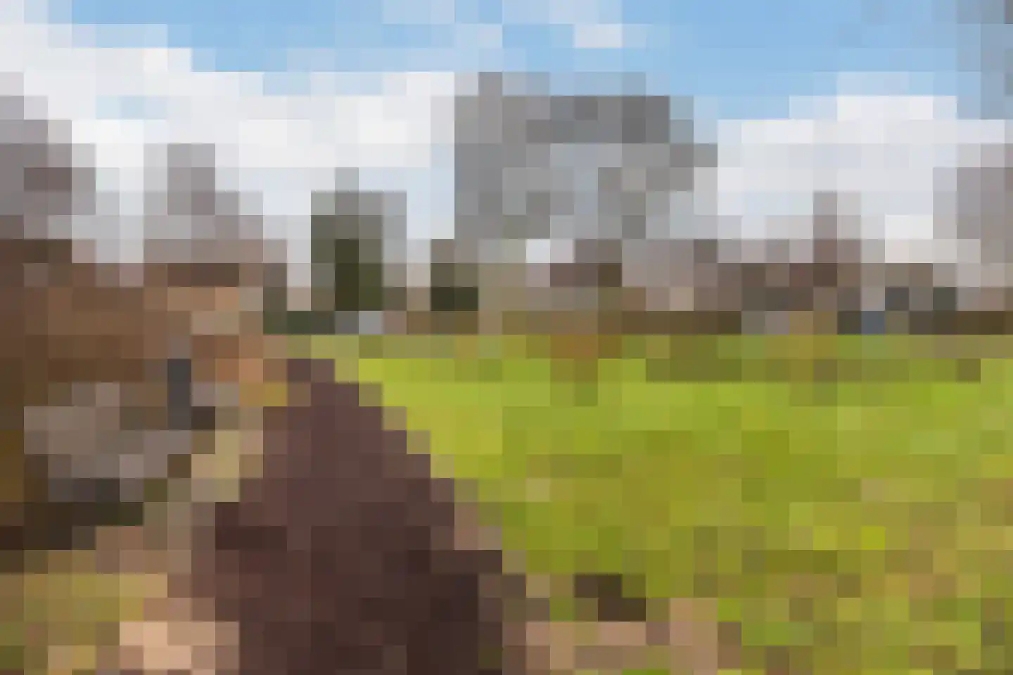 Zestienhovensekade 403 Rotterdam thumbnail 35