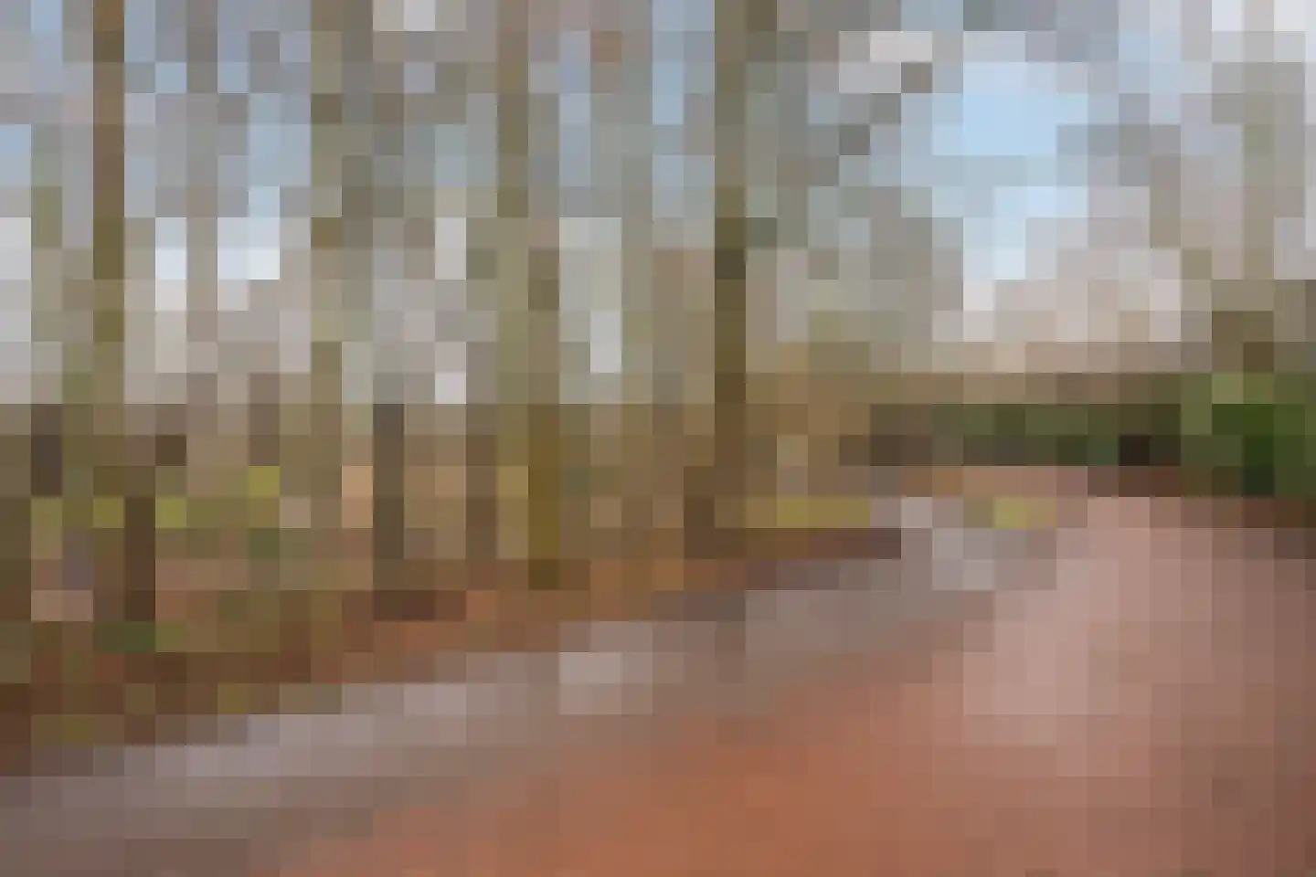 Zestienhovensekade 403 Rotterdam thumbnail 36