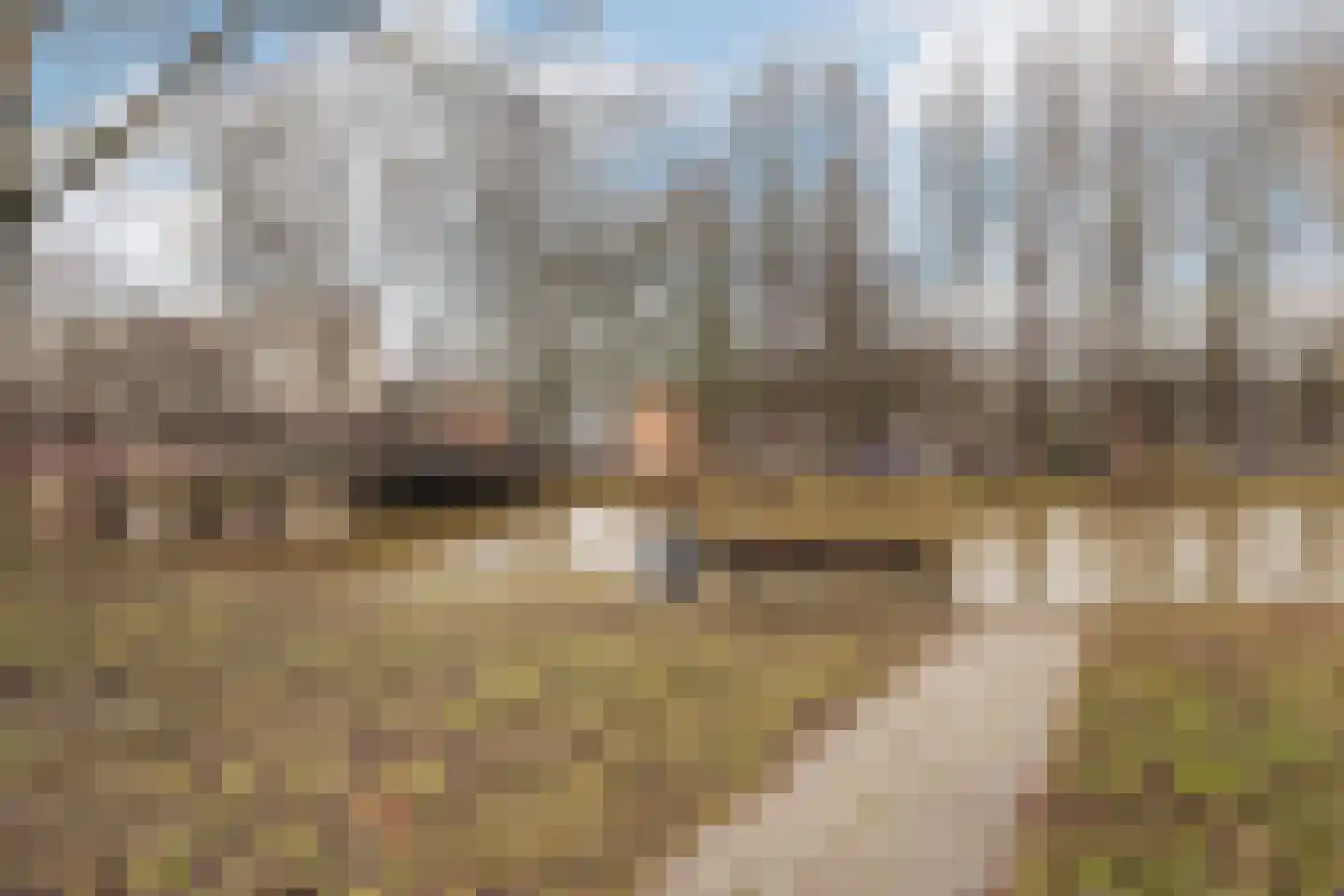 Zestienhovensekade 403 Rotterdam thumbnail 38
