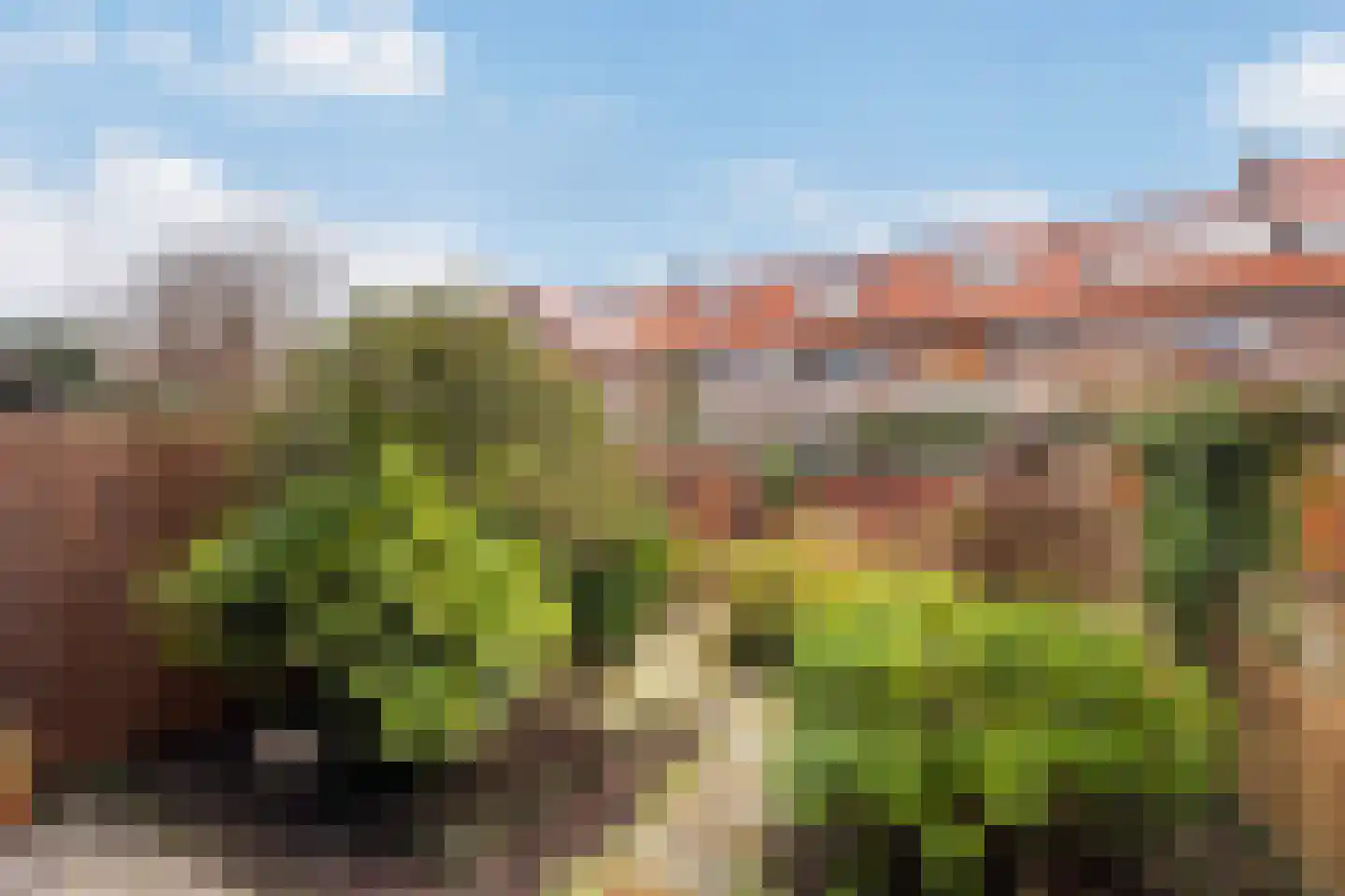 Zestienhovensekade 403 Rotterdam thumbnail 8