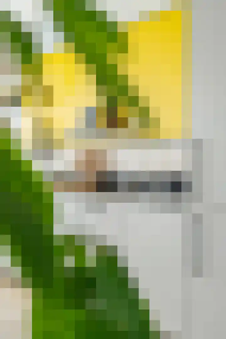 Zestienhovensekade 451 Rotterdam thumbnail 16