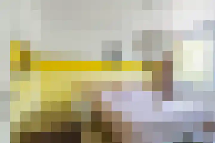 Zestienhovensekade 451 Rotterdam thumbnail 20