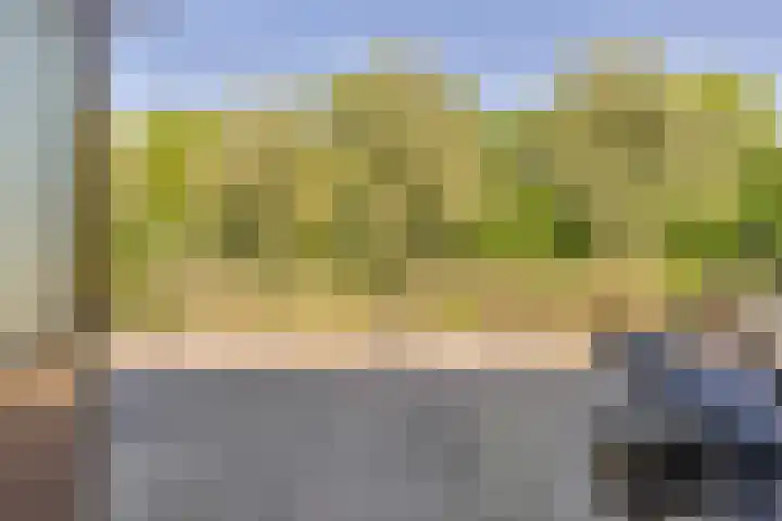 Zestienhovensekade 451 Rotterdam thumbnail 32