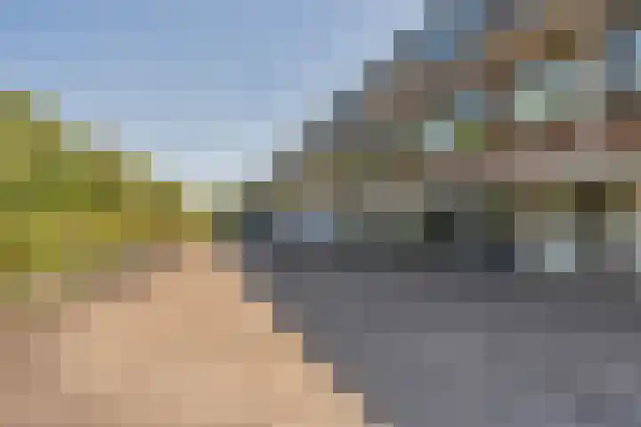 Zestienhovensekade 451 Rotterdam thumbnail 35