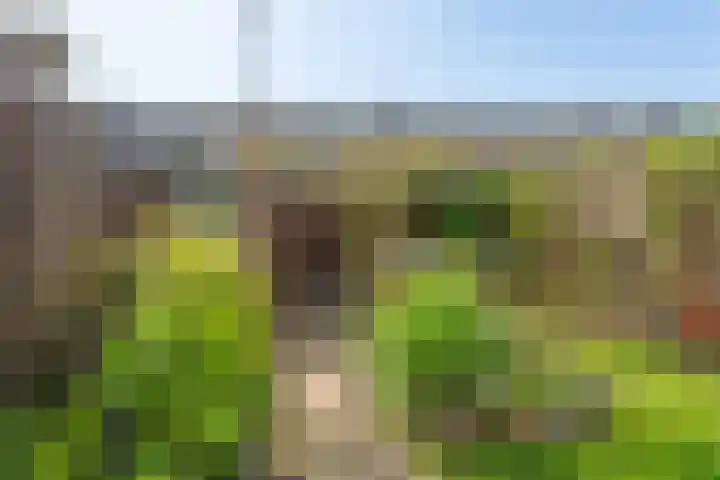 Zestienhovensekade 451 Rotterdam thumbnail 39