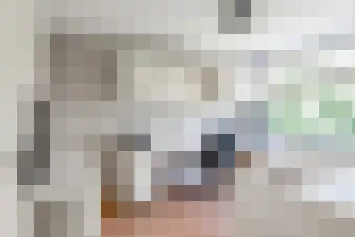 Zestienhovensekade 459 Rotterdam thumbnail 22