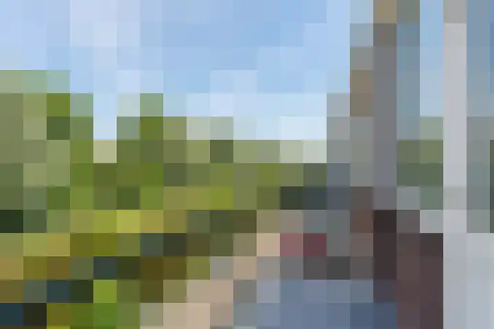 Zestienhovensekade 459 Rotterdam thumbnail 4