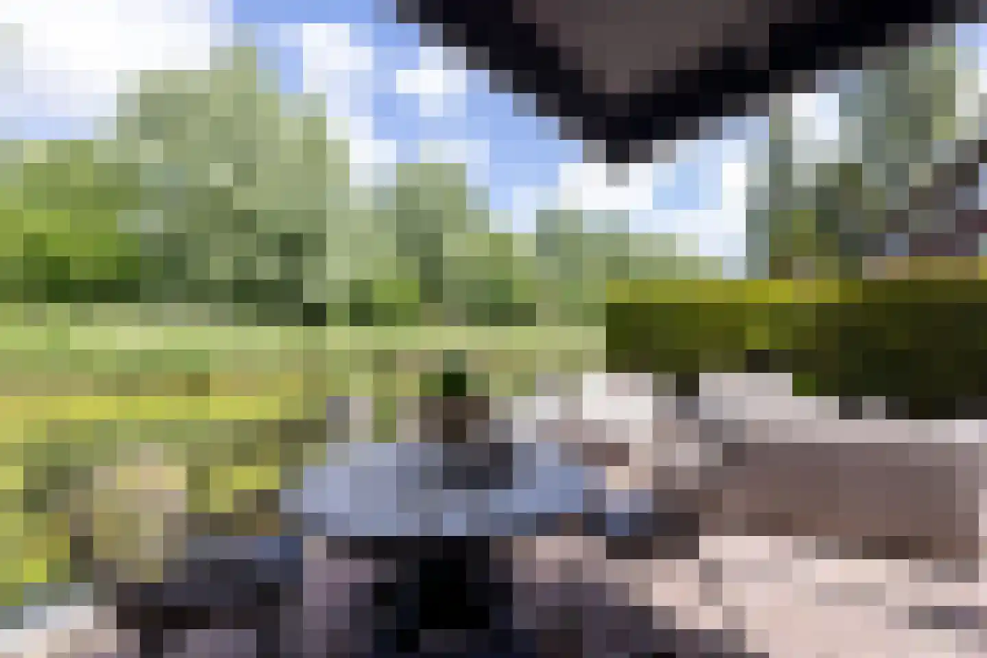 Zestienhovensekade 509 Rotterdam thumbnail 38