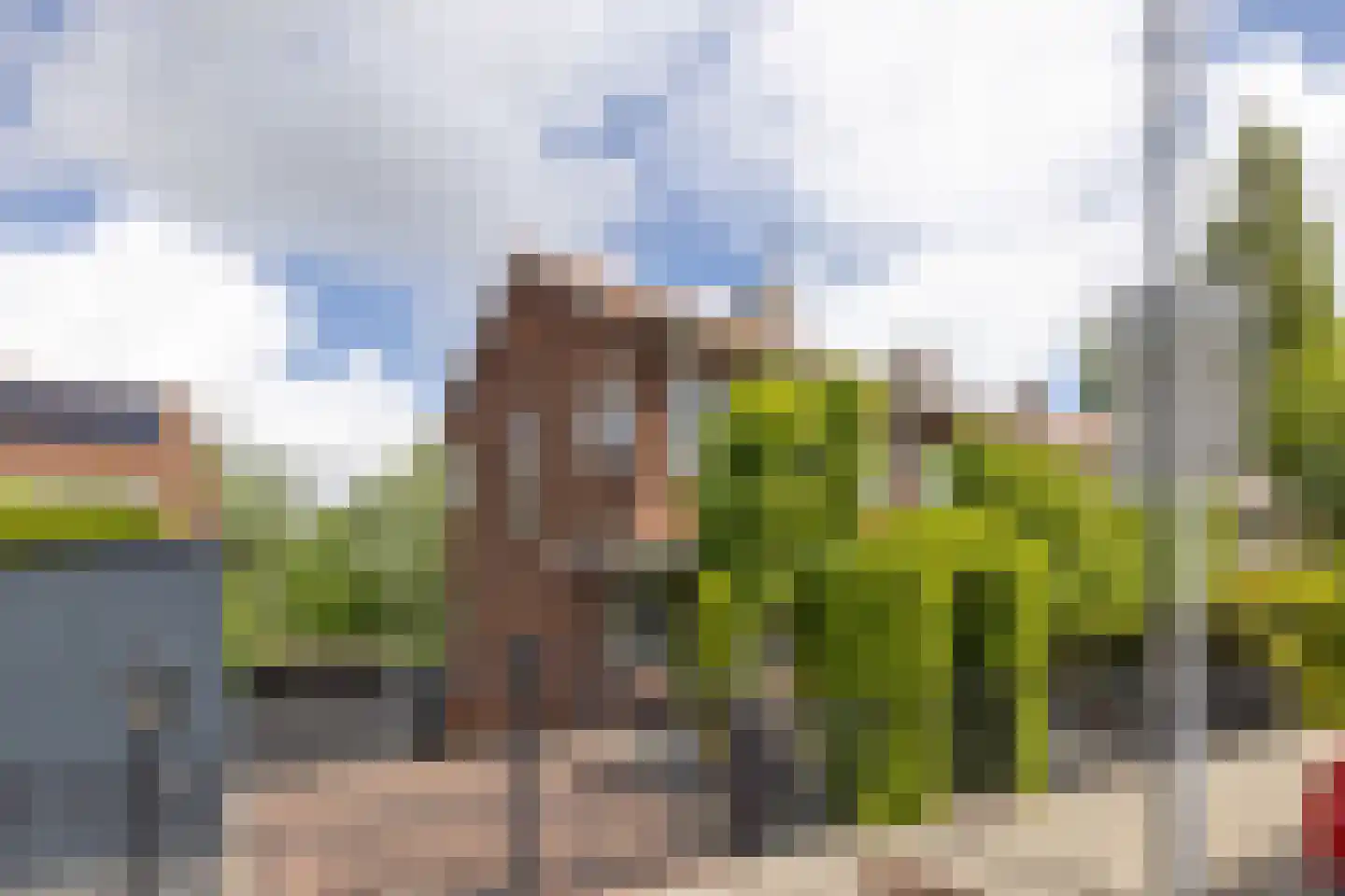Zestienhovensekade 509 Rotterdam thumbnail 4