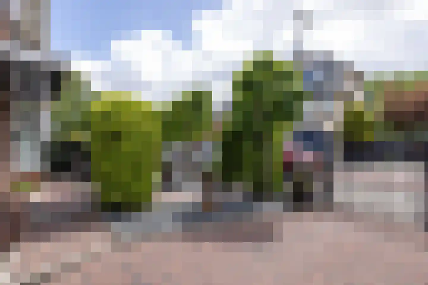 Zestienhovensekade 509 Rotterdam thumbnail 48