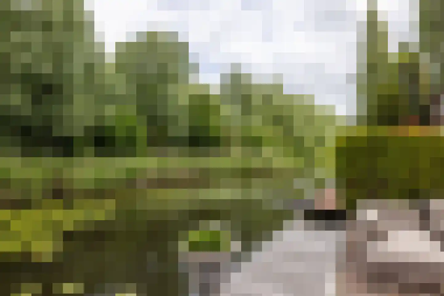 Zestienhovensekade 509 Rotterdam thumbnail 5