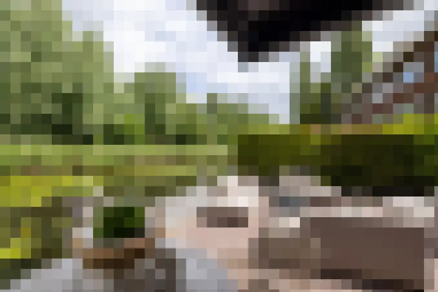 Zestienhovensekade 509 Rotterdam thumbnail 5