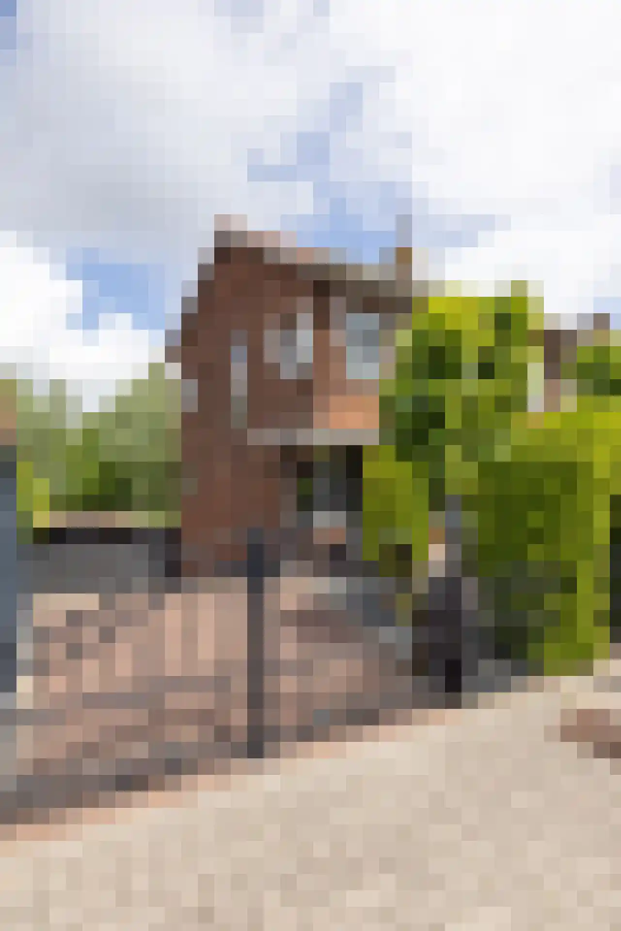 Zestienhovensekade 509 Rotterdam thumbnail 50