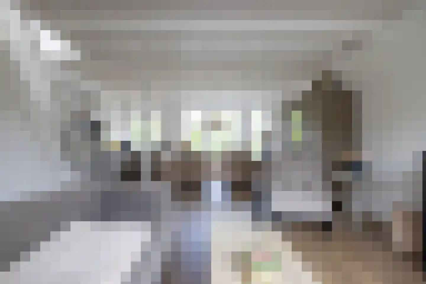 Zestienhovensekade 509 Rotterdam thumbnail 8