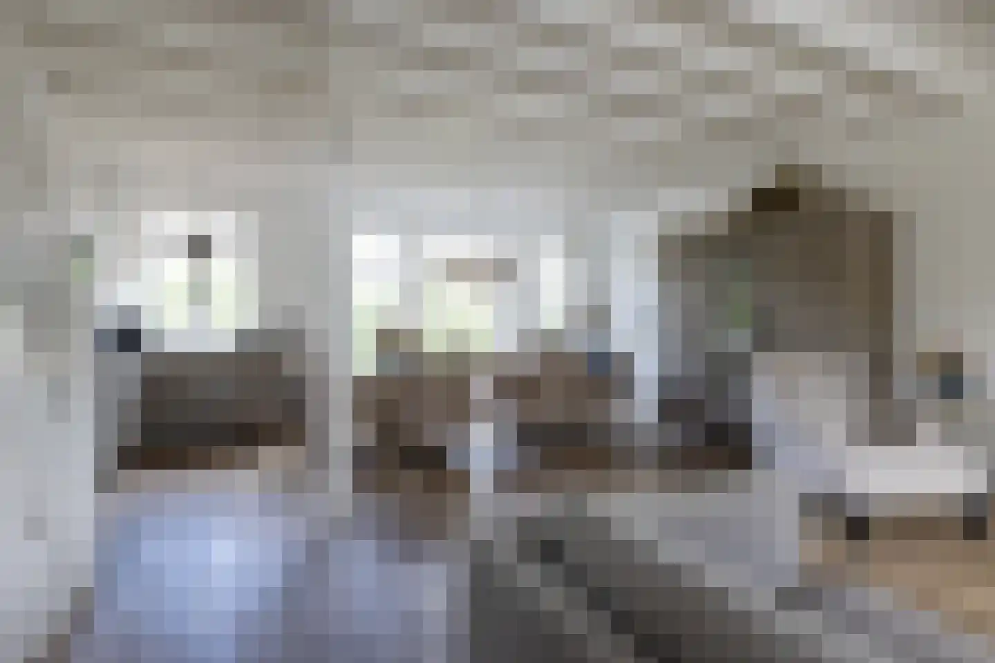 Zestienhovensekade 509 Rotterdam thumbnail 8