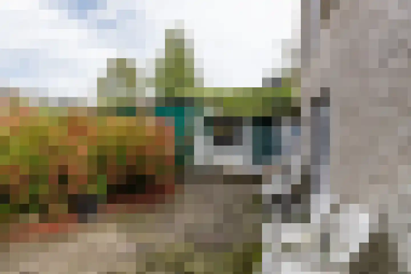 Zestienhovensekade 59 Rotterdam thumbnail 22