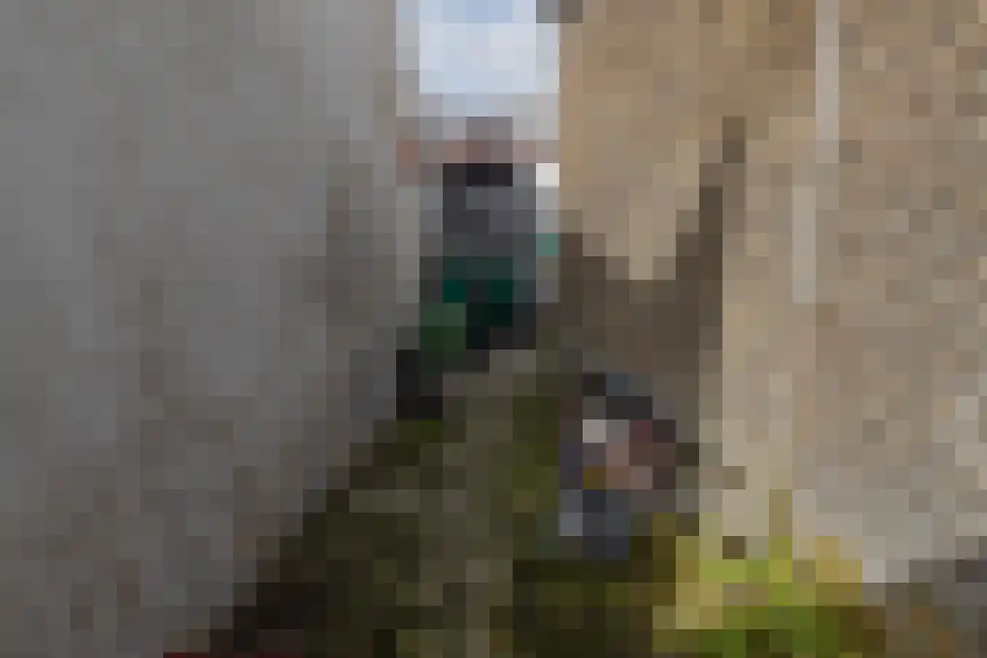 Zestienhovensekade 59 Rotterdam thumbnail 27