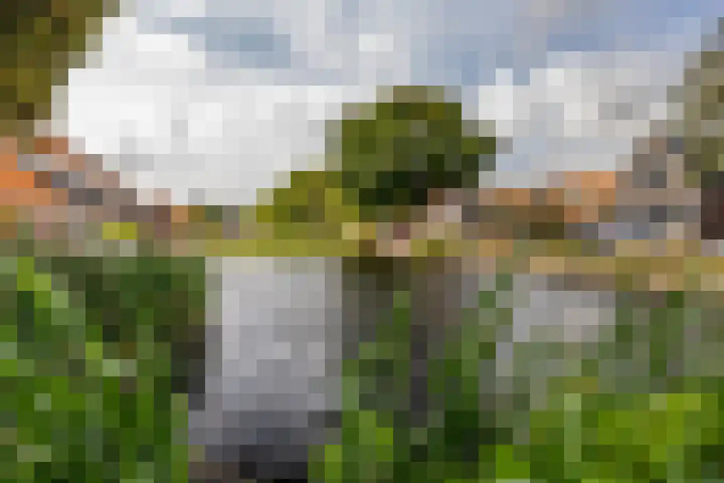 Zestienhovensekade 59 Rotterdam thumbnail 29