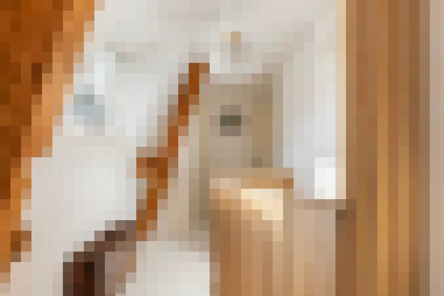 Zestienhovensekade 7 Rotterdam thumbnail 23